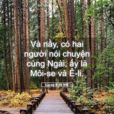 Picture 05 - Lu-ca 9:30 VIE - Và nầy, có hai người nói chuyện cùng - Bible Verse Picture