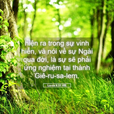 Picture 05 - Lu-ca 9:31 VIE - hiện ra trong sự vinh hiển, và nói về - Bible Verse Picture