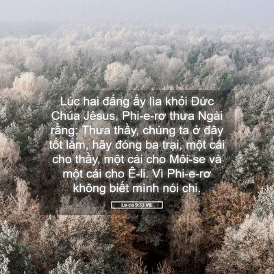 Picture 05 - Lu-ca 9:33 VIE - Lúc hai đấng ấy lìa khỏi Đức Chúa - Bible Verse Picture