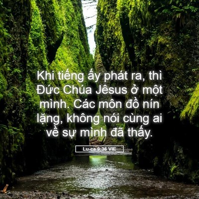 Picture 05 - Lu-ca 9:36 VIE - Khi tiếng ấy phát ra, thì Đức Chúa - Bible Verse Picture
