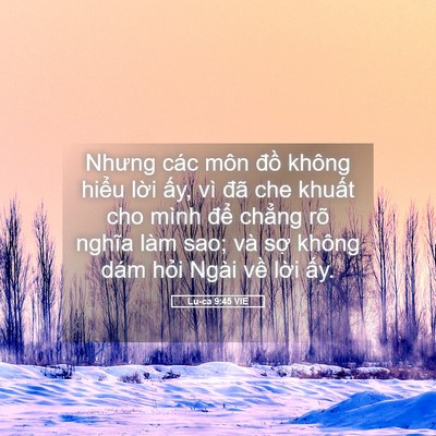 Picture 05 - Lu-ca 9:45 VIE - Nhưng các môn đồ không hiểu lời ấy, - Bible Verse Picture