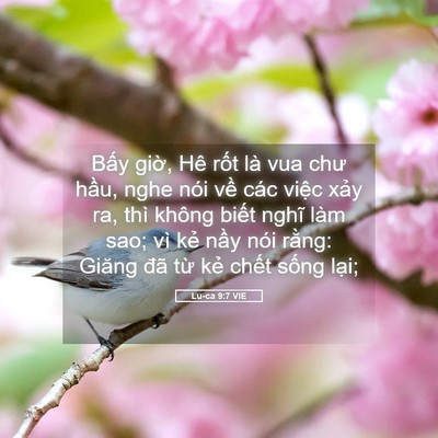 Picture 05 - Lu-ca 9:7 VIE - Bấy giờ, Hê rốt là vua chư hầu, nghe - Bible Verse Picture