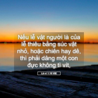 Picture 05 - Lê-vi 1:10 VIE - Nếu lễ vật người là của lễ thiêu - Bible Verse Picture