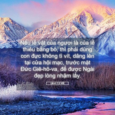 Picture 05 - Lê-vi 1:3 VIE - Nếu lễ vật của ngươi là của lễ - Bible Verse Picture