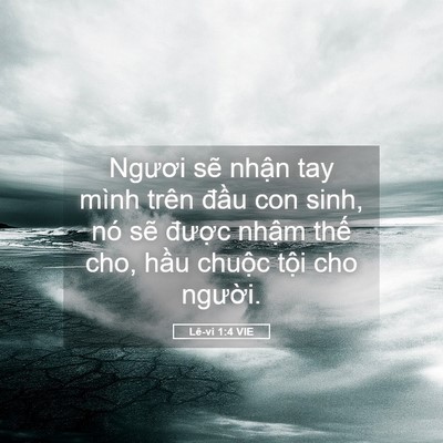Picture 05 - Lê-vi 1:4 VIE - Ngươi sẽ nhận tay mình trên đầu con - Bible Verse Picture