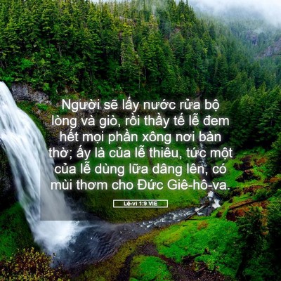 Picture 05 - Lê-vi 1:9 VIE - Người sẽ lấy nước rửa bộ lòng và - Bible Verse Picture
