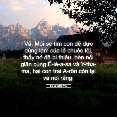 Picture 05 - Lê-vi 10:16 VIE - Vả, Môi-se tìm con dê đực dùng làm - Bible Verse Picture
