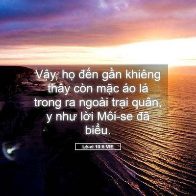Picture 05 - Lê-vi 10:5 VIE - Vậy, họ đến gần khiêng thây còn mặc - Bible Verse Picture