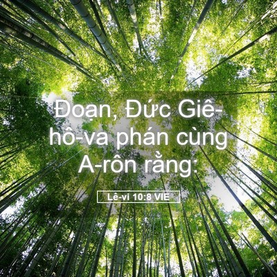 Picture 05 - Lê-vi 10:8 VIE - Đoạn, Đức Giê-hô-va phán cùng A-rôn - Bible Verse Picture