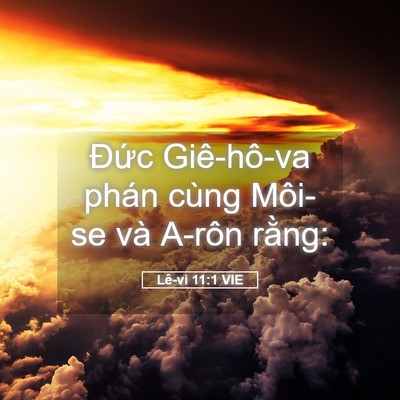 Picture 05 - Lê-vi 11:1 VIE - Đức Giê-hô-va phán cùng Môi-se và A-rôn - Bible Verse Picture