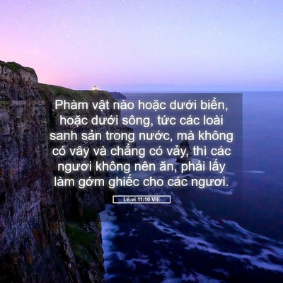 Picture 05 - Lê-vi 11:10 VIE - Phàm vật nào hoặc dưới biển, hoặc - Bible Verse Picture