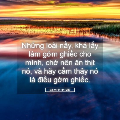 Picture 05 - Lê-vi 11:11 VIE - Những loài nầy, khá lấy làm gớm - Bible Verse Picture