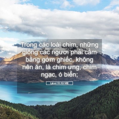 Picture 05 - Lê-vi 11:13 VIE - Trong các loài chim, những giống các - Bible Verse Picture