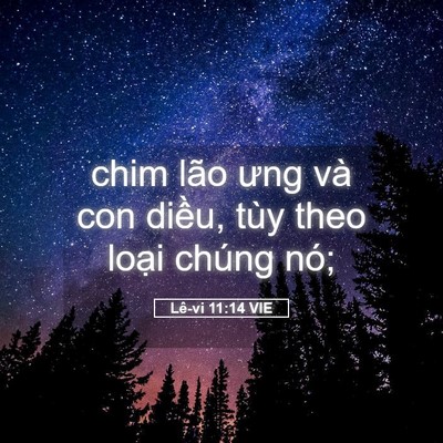 Picture 05 - Lê-vi 11:14 VIE - chim lão ưng và con diều, tùy theo loại - Bible Verse Picture