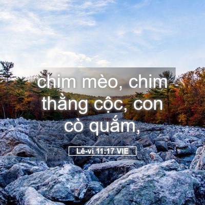 Picture 05 - Lê-vi 11:17 VIE - chim mèo, chim thằng cộc, con cò - Bible Verse Picture