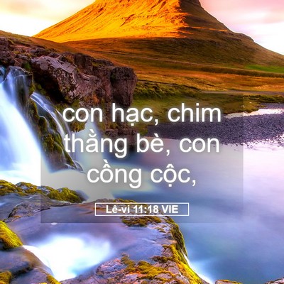 Picture 05 - Lê-vi 11:18 VIE - con hạc, chim thằng bè, con cồng - Bible Verse Picture