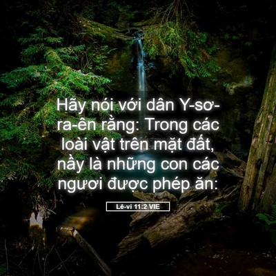 Picture 05 - Lê-vi 11:2 VIE - Hãy nói với dân Y-sơ-ra-ên rằng: Trong - Bible Verse Picture