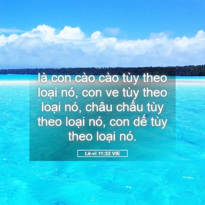 Picture 05 - Lê-vi 11:22 VIE - là con cào cào tùy theo loại nó, con ve - Bible Verse Picture