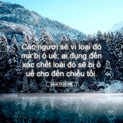 Picture 05 - Lê-vi 11:24 VIE - Các ngươi sẽ vì loại đó mà bị ô - Bible Verse Picture