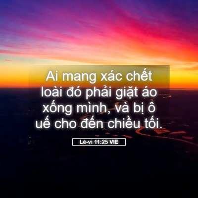 Picture 05 - Lê-vi 11:25 VIE - Ai mang xác chết loài đó phải giặt áo - Bible Verse Picture