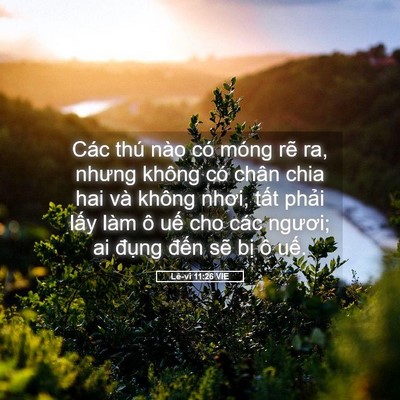 Picture 05 - Lê-vi 11:26 VIE - Các thú nào có móng rẽ ra, nhưng không - Bible Verse Picture