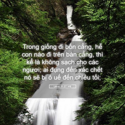 Picture 05 - Lê-vi 11:27 VIE - Trong giống đi bốn cẳng, hễ con nào đi - Bible Verse Picture