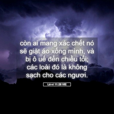 Picture 05 - Lê-vi 11:28 VIE - còn ai mang xác chết nó sẽ giặt áo - Bible Verse Picture