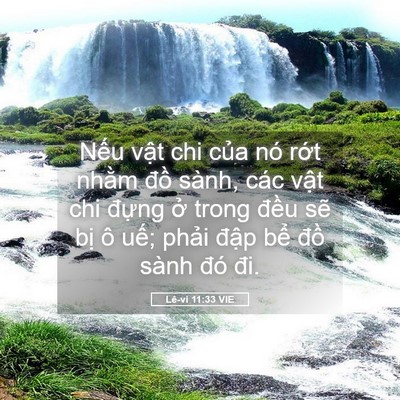 Picture 05 - Lê-vi 11:33 VIE - Nếu vật chi của nó rớt nhằm đồ - Bible Verse Picture