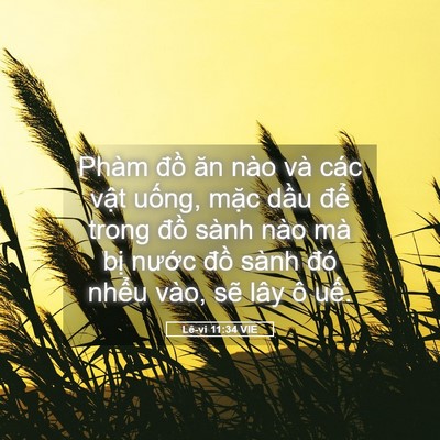Picture 05 - Lê-vi 11:34 VIE - Phàm đồ ăn nào và các vật uống, mặc - Bible Verse Picture