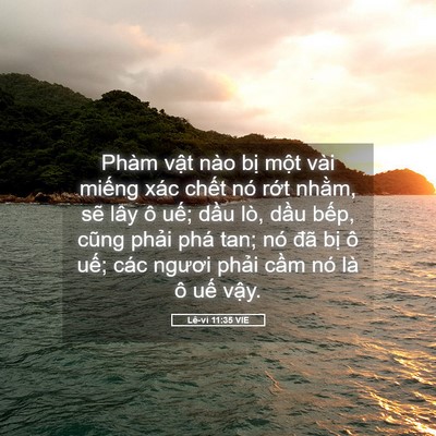 Picture 05 - Lê-vi 11:35 VIE - Phàm vật nào bị một vài miếng xác - Bible Verse Picture