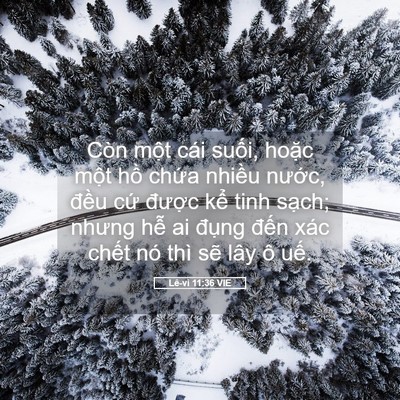 Picture 05 - Lê-vi 11:36 VIE - Còn một cái suối, hoặc một hồ chứa - Bible Verse Picture
