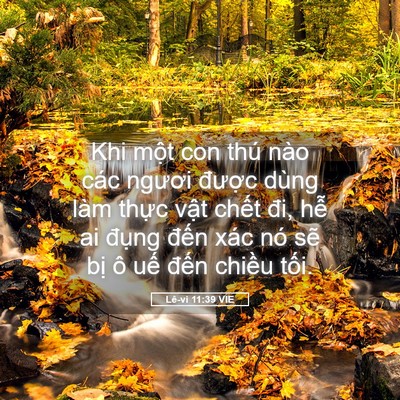 Picture 05 - Lê-vi 11:39 VIE - Khi một con thú nào các ngươi được - Bible Verse Picture
