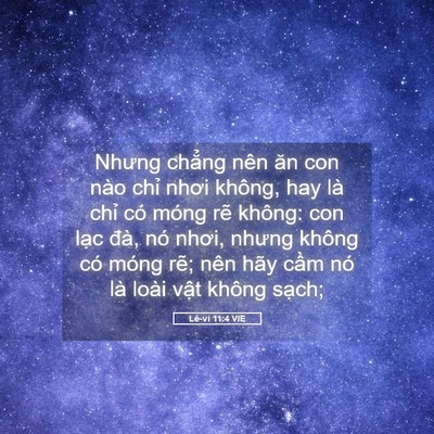 Picture 05 - Lê-vi 11:4 VIE - Nhưng chẳng nên ăn con nào chỉ nhơi - Bible Verse Picture