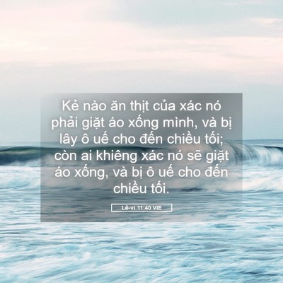 Picture 05 - Lê-vi 11:40 VIE - Kẻ nào ăn thịt của xác nó phải giặt - Bible Verse Picture
