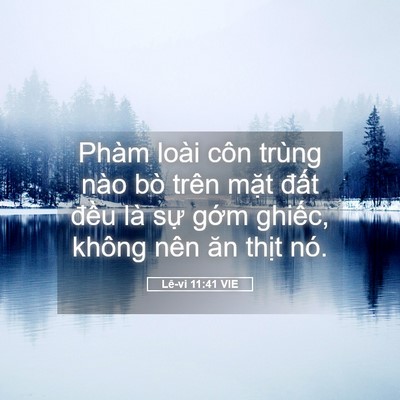 Picture 05 - Lê-vi 11:41 VIE - Phàm loài côn trùng nào bò trên mặt - Bible Verse Picture