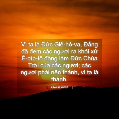 Picture 05 - Lê-vi 11:45 VIE - Vì ta là Đức Giê-hô-va, Đấng đã đem - Bible Verse Picture