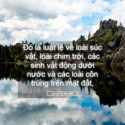 Picture 05 - Lê-vi 11:46 VIE - Đó là luật lệ về loài súc vật, loài - Bible Verse Picture