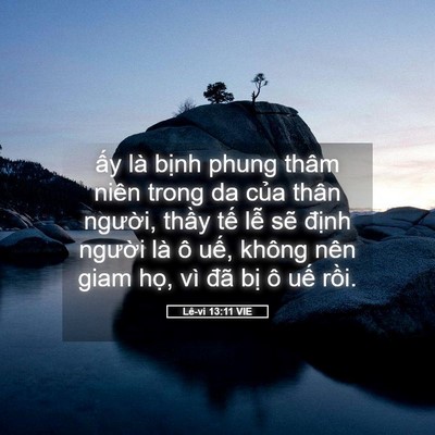 Picture 05 - Lê-vi 13:11 VIE - ấy là bịnh phung thâm niên trong da của - Bible Verse Picture