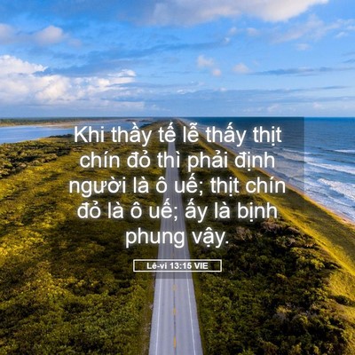 Picture 05 - Lê-vi 13:15 VIE - Khi thầy tế lễ thấy thịt chín đỏ - Bible Verse Picture