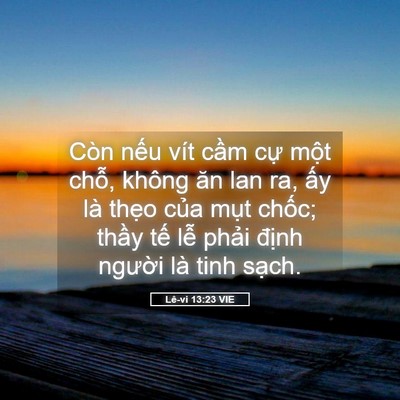Picture 05 - Lê-vi 13:23 VIE - Còn nếu vít cầm cự một chỗ, không - Bible Verse Picture