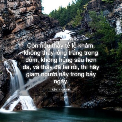 Picture 05 - Lê-vi 13:26 VIE - Còn nếu thầy tế lễ khám, không thấy - Bible Verse Picture