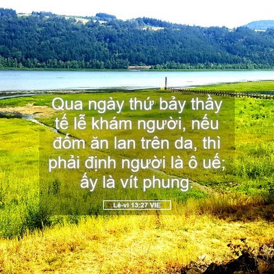 Picture 05 - Lê-vi 13:27 VIE - Qua ngày thứ bảy thầy tế lễ khám - Bible Verse Picture