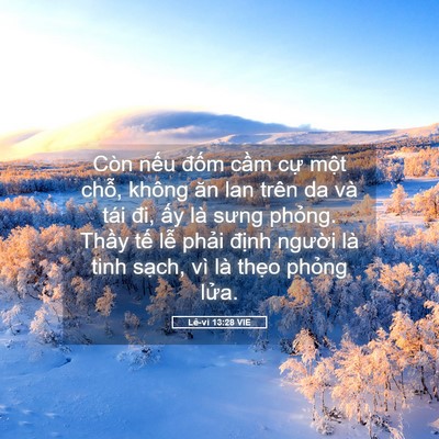 Picture 05 - Lê-vi 13:28 VIE - Còn nếu đốm cầm cự một chỗ, không - Bible Verse Picture