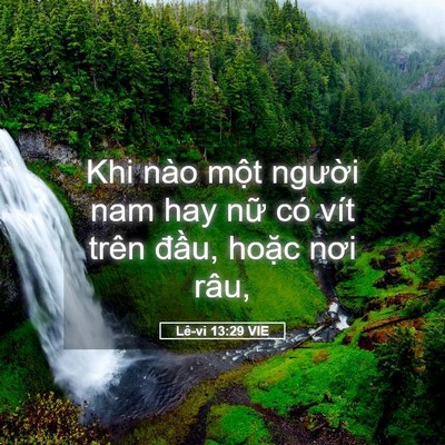 Picture 05 - Lê-vi 13:29 VIE - Khi nào một người nam hay nữ có vít - Bible Verse Picture