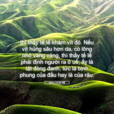 Picture 05 - Lê-vi 13:30 VIE - thì thầy tế lễ khám vít đó. Nếu vít - Bible Verse Picture