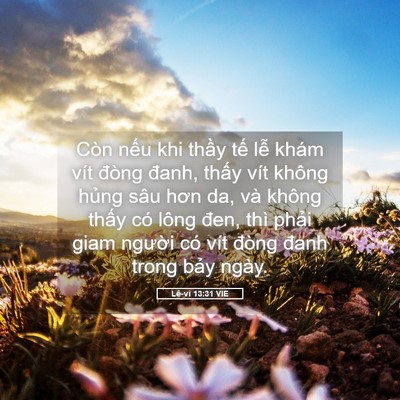 Picture 05 - Lê-vi 13:31 VIE - Còn nếu khi thầy tế lễ khám vít đòng - Bible Verse Picture