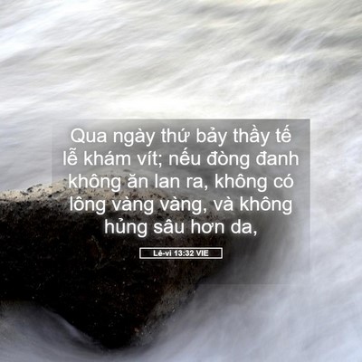 Picture 05 - Lê-vi 13:32 VIE - Qua ngày thứ bảy thầy tế lễ khám - Bible Verse Picture