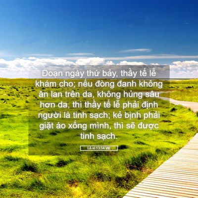 Picture 05 - Lê-vi 13:34 VIE - Đoạn ngày thứ bảy, thầy tế lễ khám - Bible Verse Picture