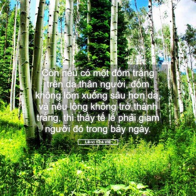 Picture 05 - Lê-vi 13:4 VIE - Còn nếu có một đốm trắng trên da - Bible Verse Picture