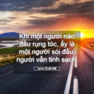 Picture 05 - Lê-vi 13:40 VIE - Khi một người nào đầu rụng tóc, ấy - Bible Verse Picture